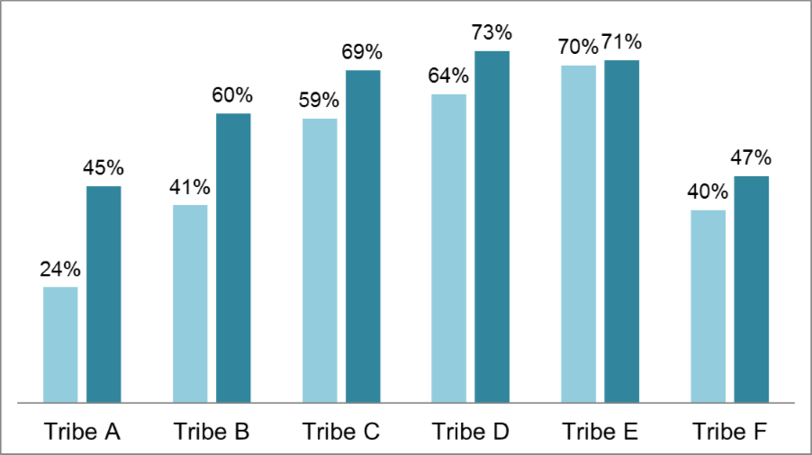 Figure 1. Percentage of properly restrained children before and after Native CARS interventions, by tribe