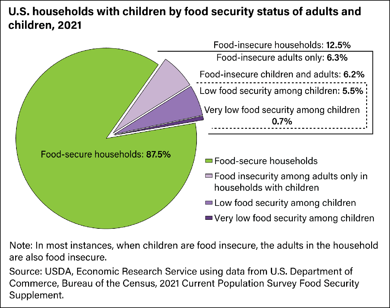 Food Accessibility, Insecurity and Health Outcomes