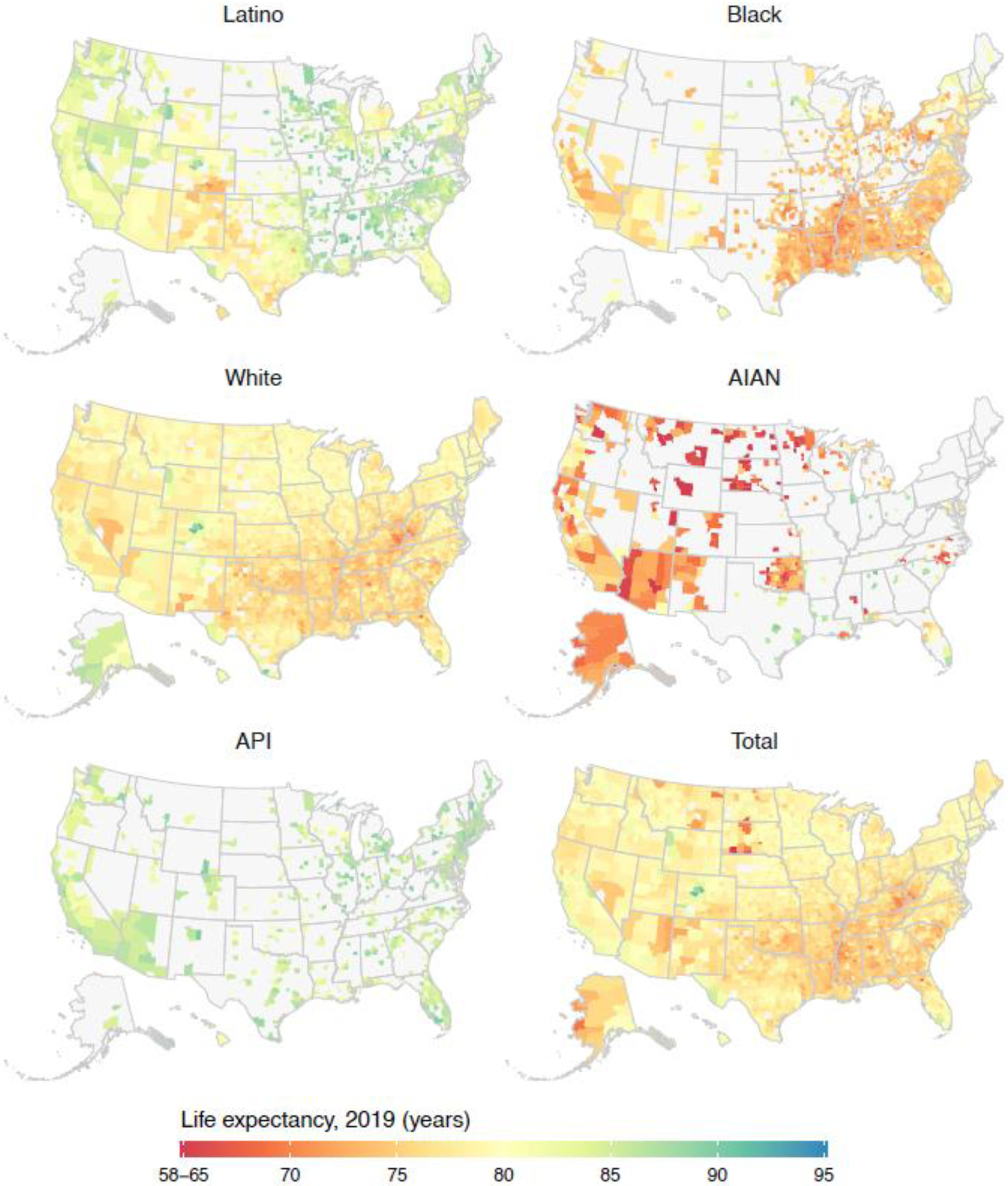 Image of data for county life expectancy by racial/ethnic group in 2019.